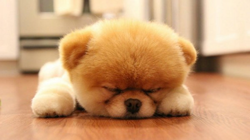 睡篮子嗨起来,论12星座谁是嗨到最晚的夜猫子1