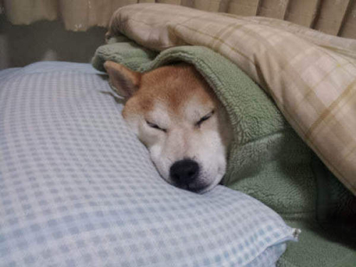 睡篮子嗨起来,论12星座谁是嗨到最晚的夜猫子2