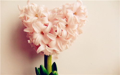 苏珊米勒双鱼座一周星座运势(9.12-9.18)