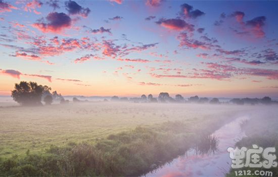 苏珊米勒双鱼座一周星座运势(11.14-11.20)