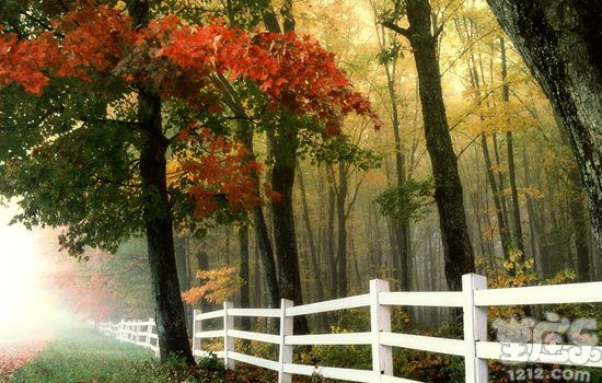 苏珊米勒2017年1月射手座运势详解完整版1