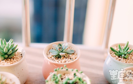 十二星座男谁最受女生欢迎?3